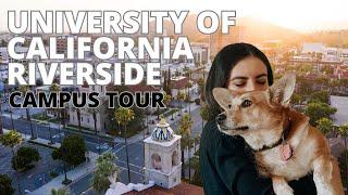 UC Riverside Campus Tour - Walk with Me Around the College in 4K | University of California
