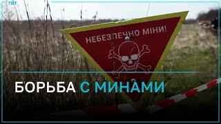 Украинские фермеры уничтожают российские мины на полях с помощью тракторов