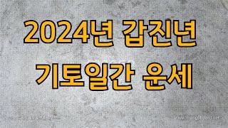 2024년 갑진년 기토일간 운세