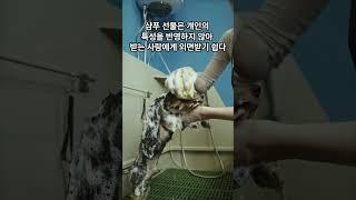  명절 선물 추천: 피해야 할 5가지 아이템! #설선물 #명절선물 #선물추천