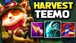 Teemo With This Mythic Item Is An Extreme Damage Menace!