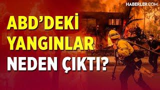 ABD'deki Yangınlar Neden Çıktı?