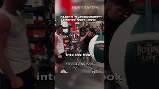 Canelo teaching hook to the body  #shorts #boxing #boxer