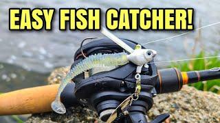 Fish LOVED This Easy Rig (SIMPLE Fish Catcher!)