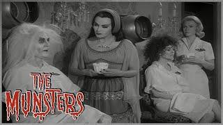 Lily and Marilyn Open a Beauty Parlor | The Munsters