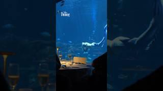 Discover Underwater Fine Dining at Su Va Na