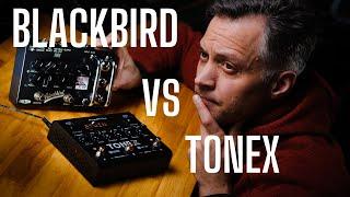 TONEX Pedal vs Effectrode BLACKBIRD - can it hang with the all-tube heavyweight?