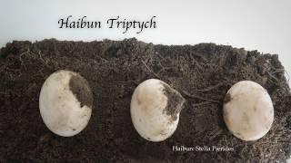 HaibunTriptych