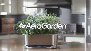 Learn to Grow Fresh Herbs, Vegetables and Flowers with an AeroGarden Indoor Garden System 2 Minutes