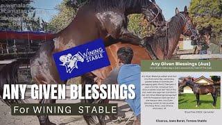ANY GIVEN BLESSINGS FOR WINING STABLE