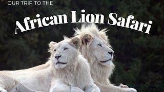 African Lion Safari Hamilton, Ontario - A Wild Adventure!