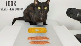 100K SILVER PLAY BUTTON ASMR CAT