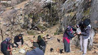 Nomadic life a day of shepherding in the storm and giving medicine to the animals in the cave#nomads