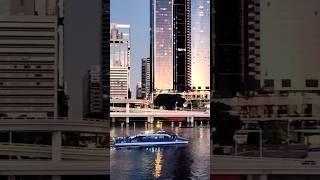 Brisbane river  evening view #shorts #brisbane #river #evening