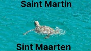 St. Martin-St.Maarten