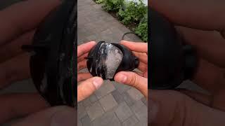 Black rare earth magnet test