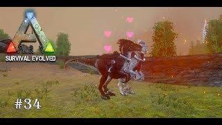 #34 Experiment Breed Alpha Raptop - Ark Survival Evolved Mobile Indonesia