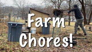 Farm Chores On Our New Farm