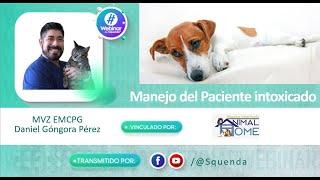 Manejo del Paciente intoxicado - MVZ EMCPG Daniel Góngora Pérez