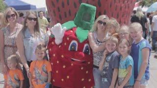 Bradford County Strawberry Festival