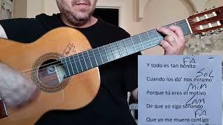 BONITO. DEMARCO FLAMENCO. MUY FACIL ACORDES GUITARRA