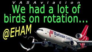 [REAL ATC] Martinair MD-11 LARGE BIRD STRIKE at Amsterdam!