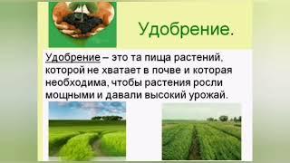 Час экономической грамотности Золотые советы овощеводам