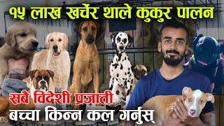 १५ लाख खर्चेर भर्खरका युवाले थाले कुकुर पालन │ Dog farming in Nepal