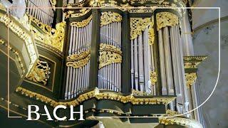 Bach - Fantasia and fugue in G minor BWV 542 - Van Doeselaar | Netherlands Bach Society