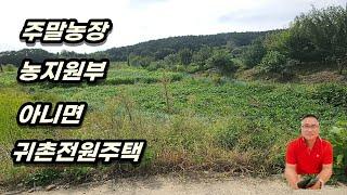 1-275[여주부동산][여주토지]주말농장, 농지원부 아니면 귀촌주택지으셔도 좋아요~ (대신면부동산)