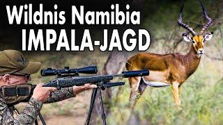 Spannende Jagdabenteuer in Namibia: Auf Pirsch mit Berufsjäger Harro | JAGD TOTAL