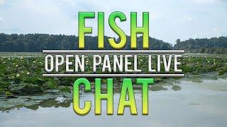 Let's Go FISHING! - Open Panel Livestream