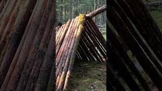 Bushcraft Camping: A shelter for Survival from a fallen tree, cooking on a campfire. #bushcraft