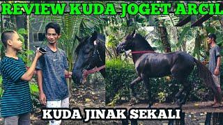 REVIEW KUDA JOGET PUTRA ARCIL BERSAMA FADHIL BRAY CHANNEL