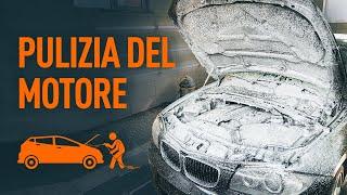 5 errori commessi durante il lavaggio del motore | I consigli di AUTODOC