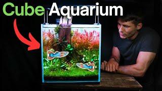 I Made a THRIVING Cube Aquarium, Here’s How!