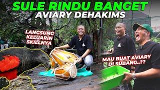 SEKIAN LAMA AKHIRNYA SULE KE AVIARY LAGI..! "EDDANN BANYAK YANG BERUBAH A..!!"