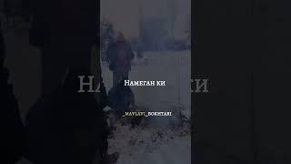 Мавлави Бохтари