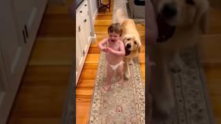 Cute baby enjoys playing with dog  #shorts #shortsfeed #cute #baby #cutebaby #trending