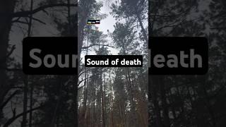 Sound of death #militarywar #military #war #army #ukrainewar #russia #death #shorts