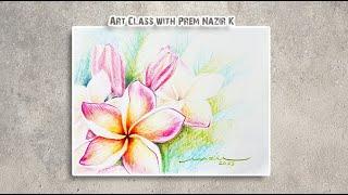 Flower | Colour Pencil Demo | Art class with Prem Nazir K