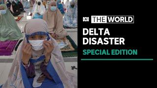 Delta Disaster: The World special edition | ABC News