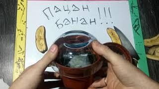 Посадка банана из семян.