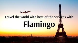 Travel the world with best of the Services with Flamingo Transworld!