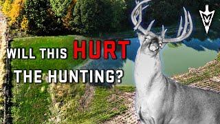 Major Changes On A Hunting Property, Can You Do Too Much? #deerhunting #hunting