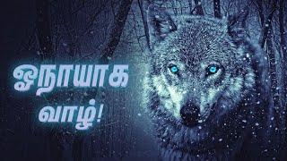 wolf motivation tamil | lone wolf motivation tamil | wolf motivation in tamil