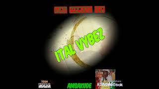 Ital Marcus 254_Ital vybez (official Audio).