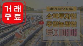 (거래종료)화성토지매매/ 송산면 소액투자토지/넓은도로 아담한 주말농장형 토지/ 송산면 농림지역 토지