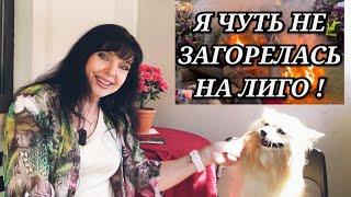  ДО СИХ ПОР В ШОКЕ / ГДЕ ЛУЧШЕ БЫЛО  Ruta Vlog @HozajushkaRuta @RutaLutkevica