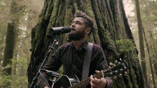 Passenger | Survivors (Acoustic Live from Jedediah Smith Redwood State Park, OR)